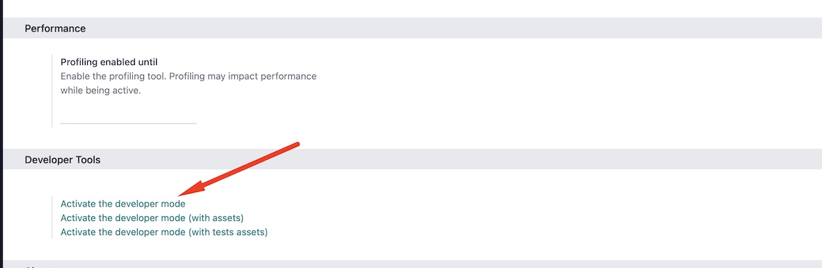 Включение Developer Mode в Odoo