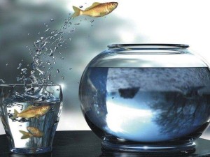 Управление проектами по стандарту PMBoK PMI. Базовый курс