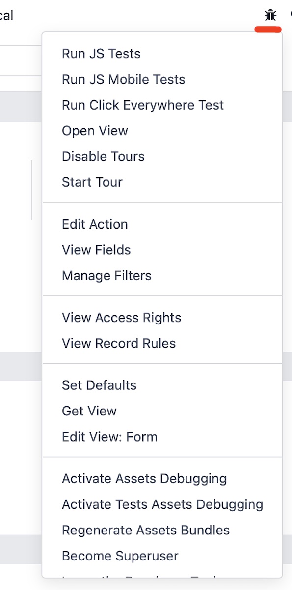 Odoo Debug Mode Enabled (Bug Icon)